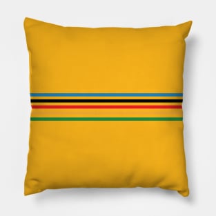 Color stripes Pillow