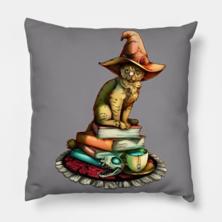 Witchy Cat with Books and Magic Skull and Tea Pillow