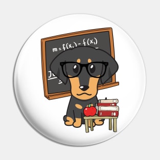 Funny dachshund is teaching Pin