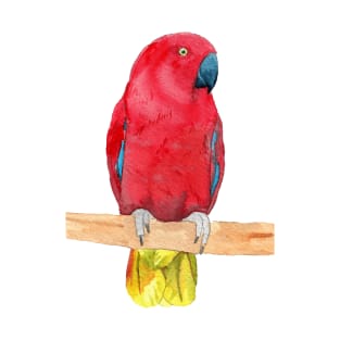 eclectus parrot watercolor red T-Shirt