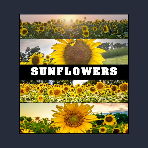 Sunflower Set by StormChaserD