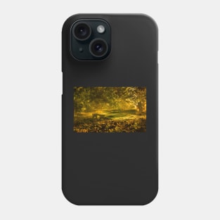 Autumn light Phone Case