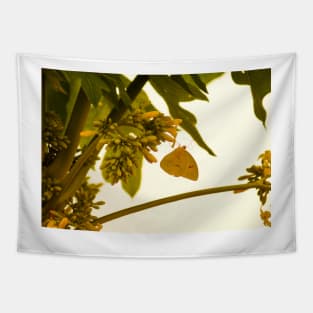 cli yellow butterfly Tapestry