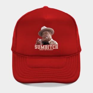 SUMBITCH VINTAGE Hat