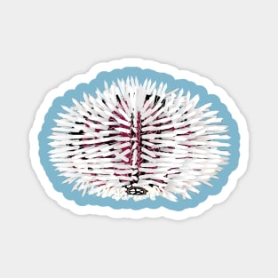 White and red sea urchin animal Magnet