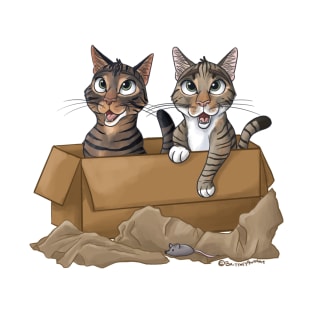 Cats In Box T-Shirt