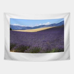 Lavander in Provence Tapestry