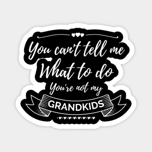 You can't tell me what to do,You're not my grandkids, grandchild Magnet