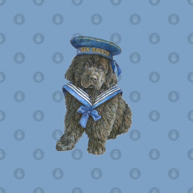 Newfoundland Puppy in blue Sea Scout hat by Prairie Dog Print