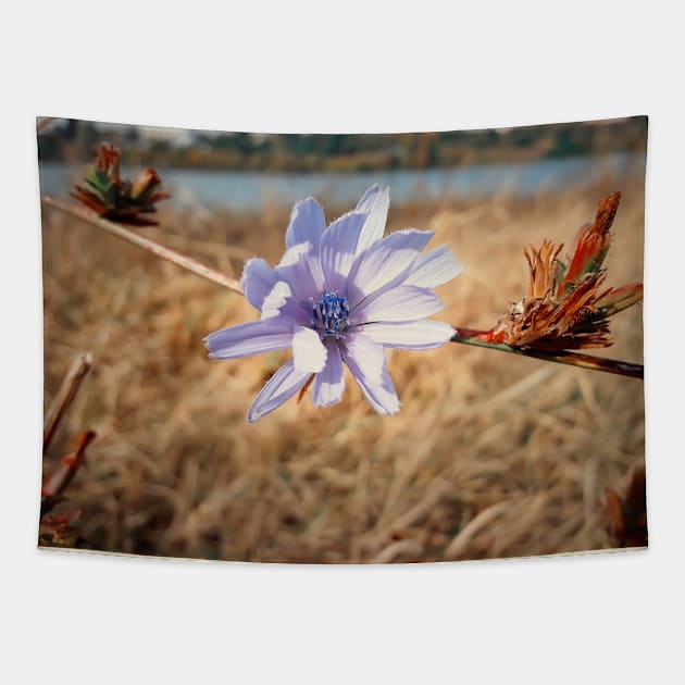 chicory Tapestry by psychoshadow