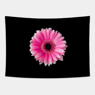 Solitary Gerbera Tapestry