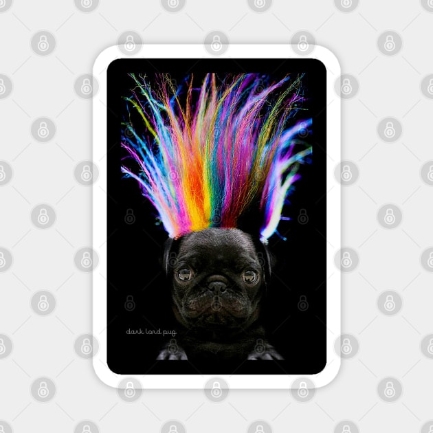 Rainbow Hair Pug Magnet by darklordpug