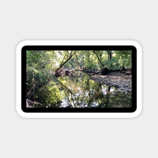 Creek Scenery Landscape Photograph of Beautiful Indian Creek Magnet