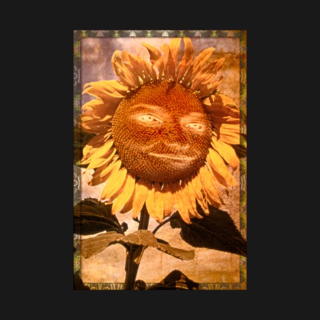 Sun Flower by becky-titus