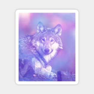Wolf Colorized Magnet