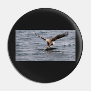White tailed eagle fishing Pin