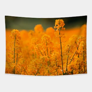 SCENERY 34 - Yellow Blooming Flower Grass Blossom Tapestry