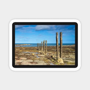 Groins on the Beach at Whitley Bay Magnet