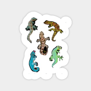 Endangered Species Gecko Medley Magnet