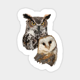 Owl and Barn Owl Magnet