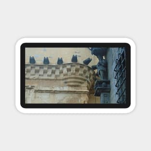 James V Statue, Royal Palace, Stirling Castle Magnet