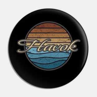 Havok Retro Waves Pin