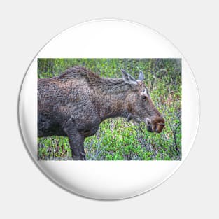 Moose Portrait Pin