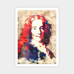 Voltaire Pop Art Magnet