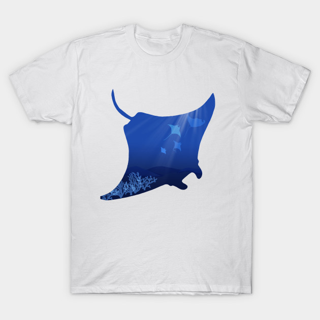 rays tee shirts