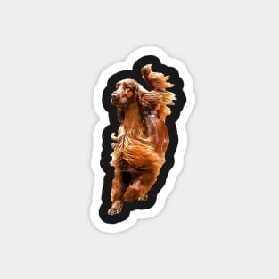 Irish Setter - Glamorous Dog! Magnet