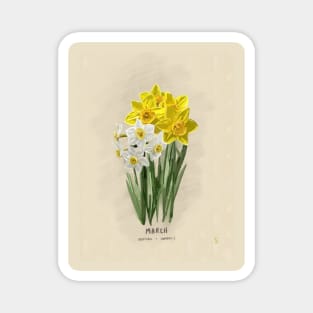 March Flower Birth Month Illustration Magnet