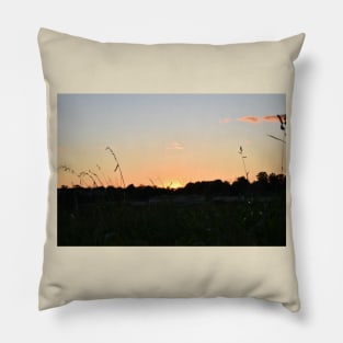 Sunset Through the Grass Pillow