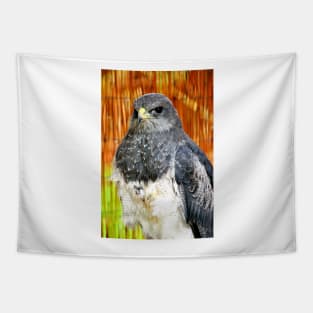 Chilean Eagle Black Chested Buzzard Tapestry