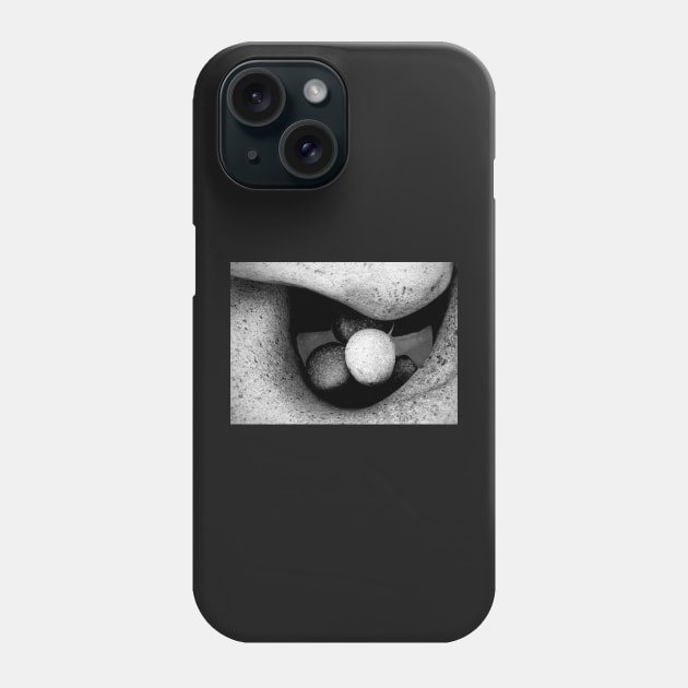 Boulder beach II Phone Case by geoffshoults