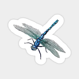 Dragon Fly Magnet