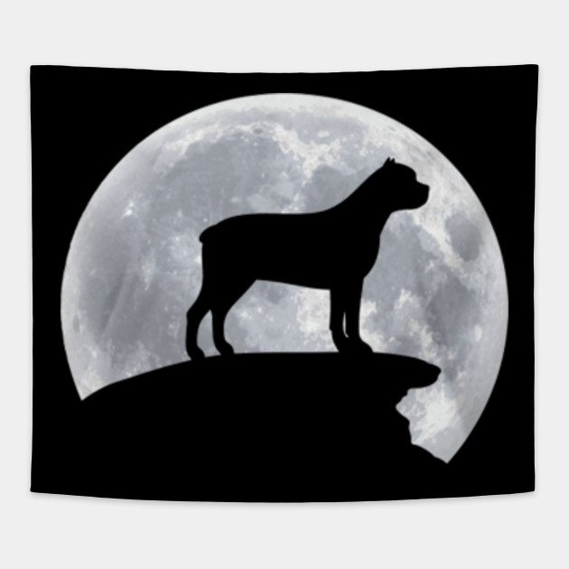 Cane Corso Happy Halloween