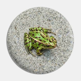 Perfect Frog Pin