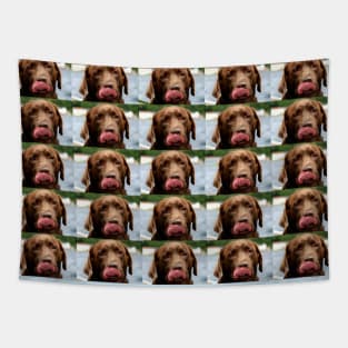 Labrador Retriever chocolate tile Tapestry