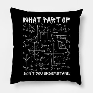 What Part Of Don't You Understand Pillow