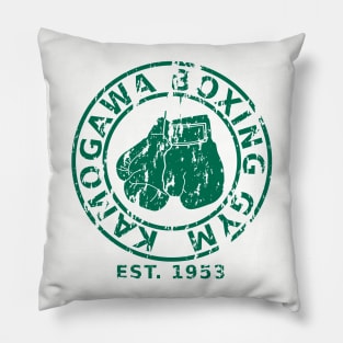 Kamogawa Gym Pillow