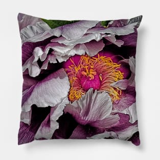 In the Eye of the Peony Pillow