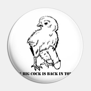 Mr. Big Cock Pin