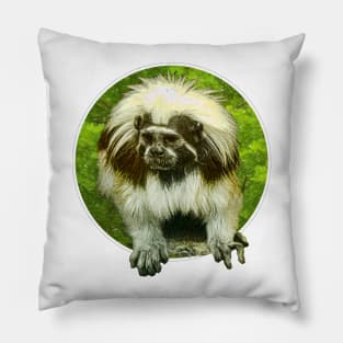 Cotton-top tamarin Pillow