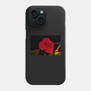 Dark red rose blossom Phone Case