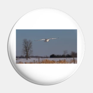 Snowy Owl Pin