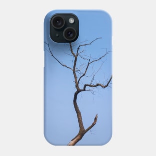 Dead willow Phone Case