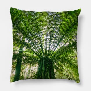 Tree Fern Pillow