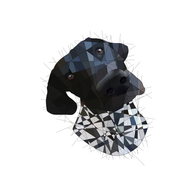 German Short Haired Pointer by Blacklightco