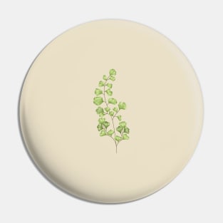 Ginko Biloba Plant Botanical Pin