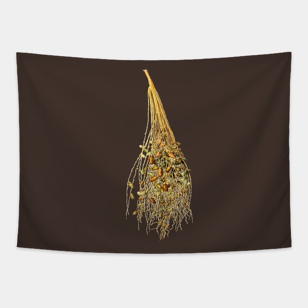 Vintage Botanical Illustration - Normal Spadice of the Palm 096 Tapestry by Holy Rock Design